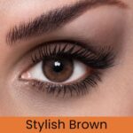 Tri Kolor Stylish Brown