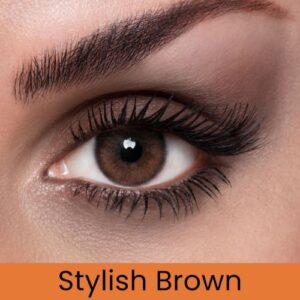 Tri Kolor Stylish Brown